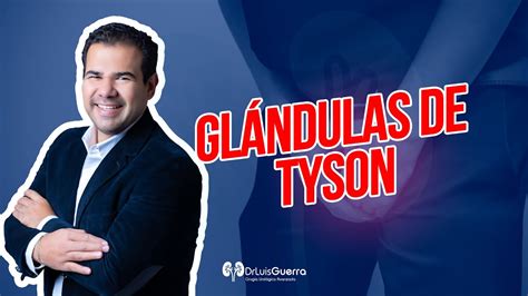 que son las glandulas de tyson|Glándulas de Tyson: Factores de Riesgo, Causas, Síntomas,。